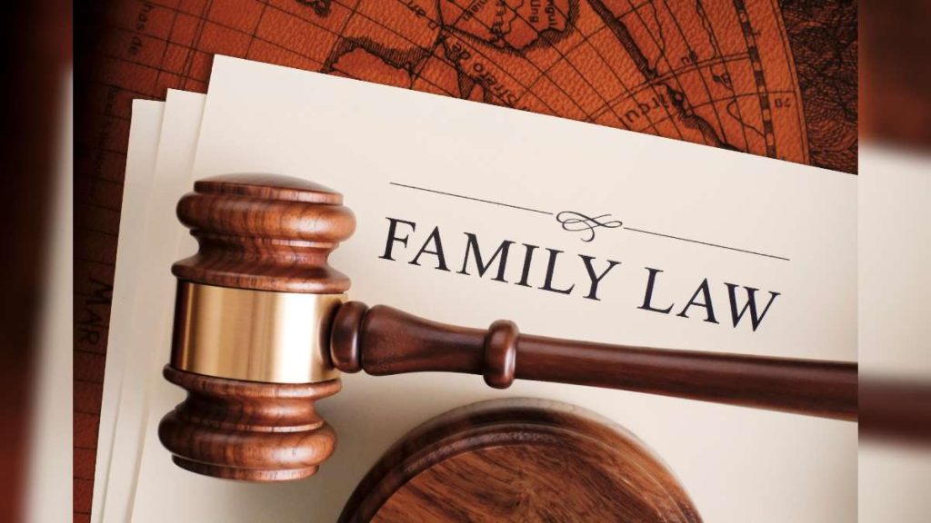 Family Law Lawyer 