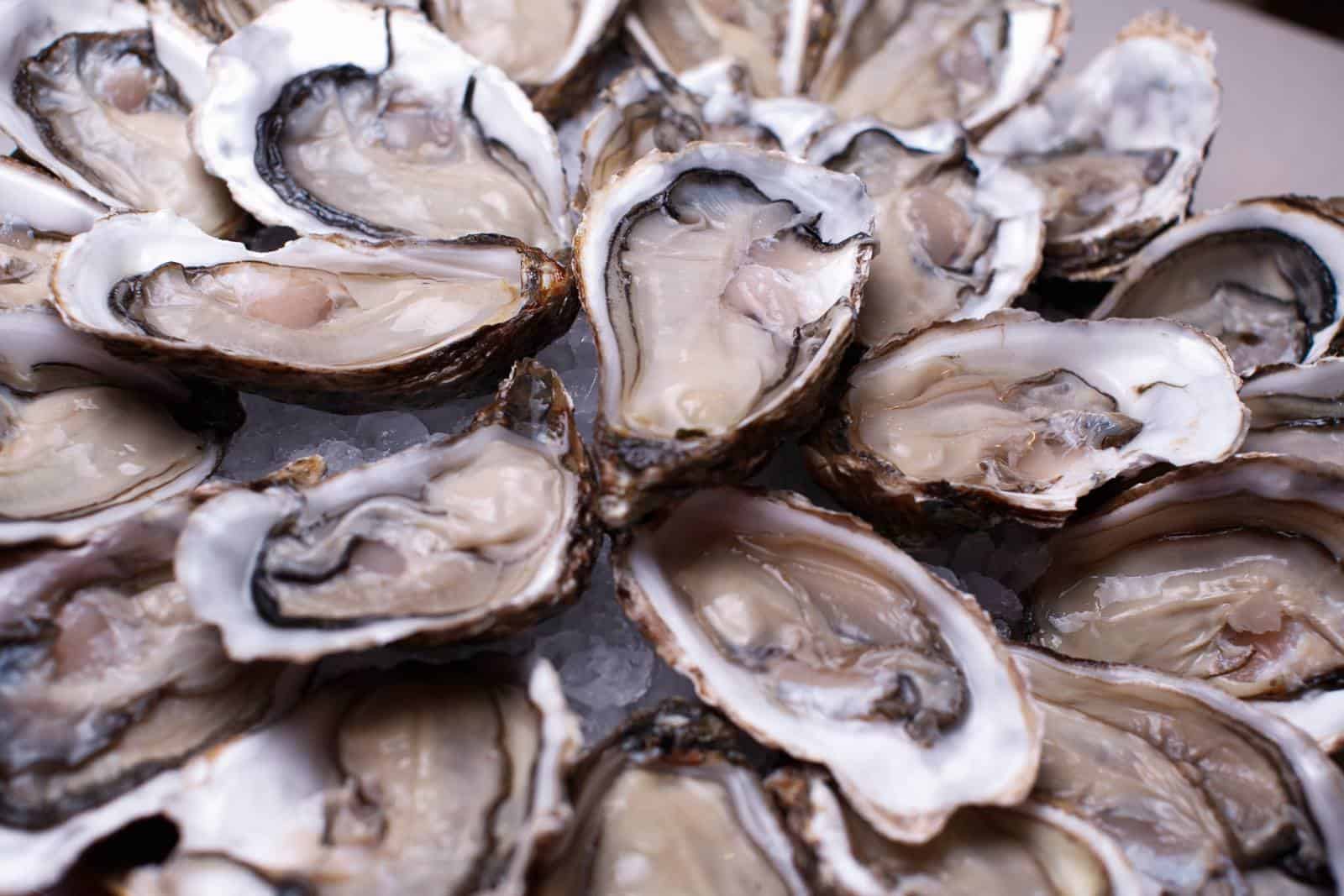 buy oysters online