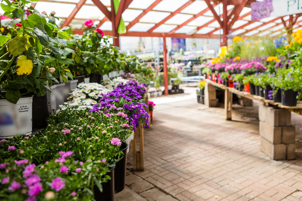 Garden Centre London