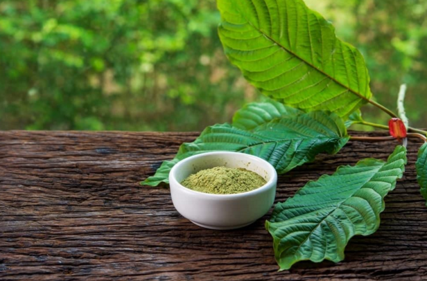 Natural Power of Kratom